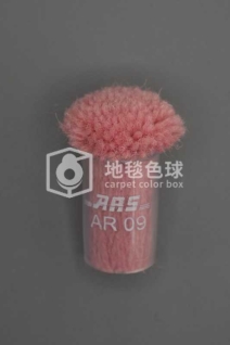 ARS AR09