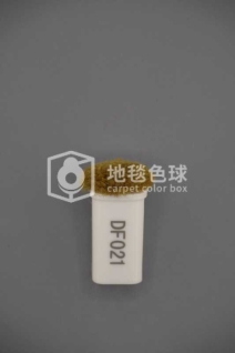 DF021