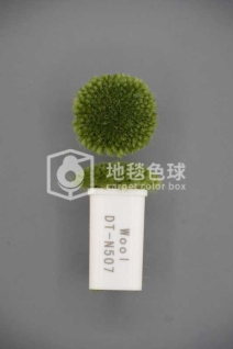 DT N507