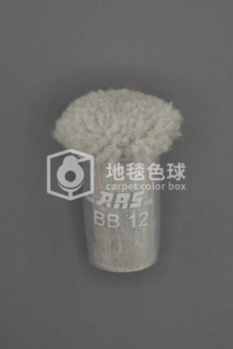 ARS BB12