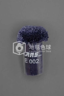 ARS E002