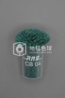 ARS CB04