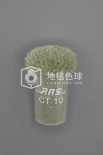 ARS CT10