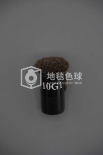 10G1