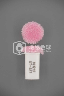 DT 487
