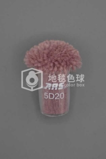 ARS 5D20
