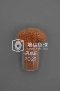 ARS 2C20