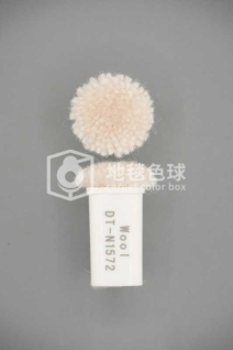 DT N1572