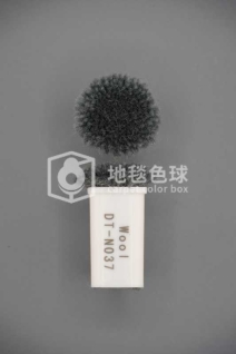 DT N037