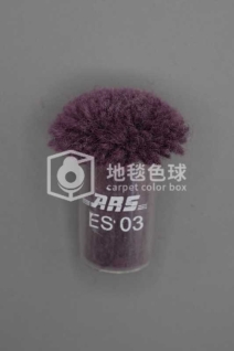 ARS ES03