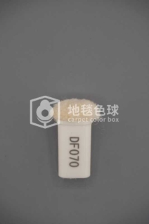 DF070