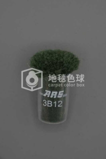 ARS 3B12