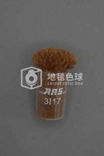 ARS 3I17