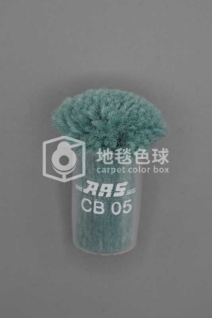 ARS CB05