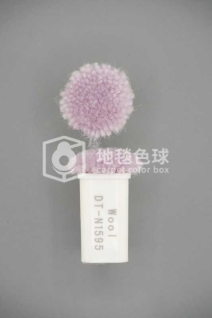 DT N1595