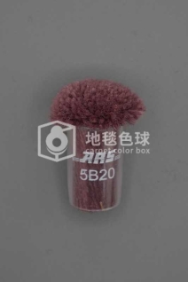 ARS 5B20