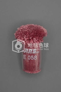 ARS E058