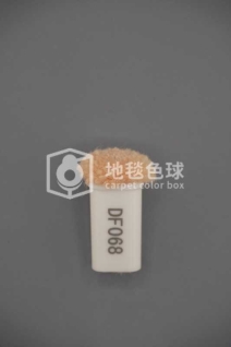 DF068