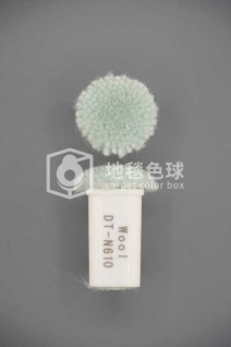 DT N610