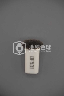 DF531