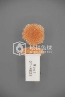 DT N822