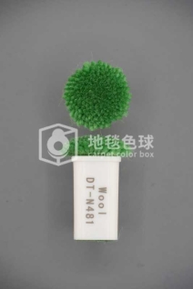 DT N481