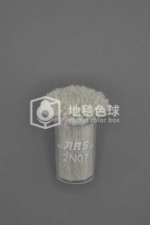 ARS 2N07