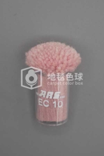 ARS EC10