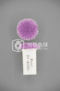 DT N1591