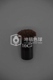 10C2