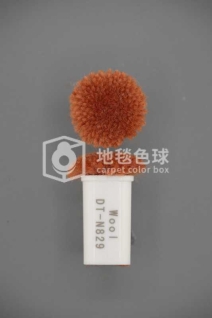 DT N829