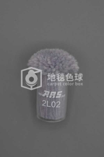 ARS 2L02