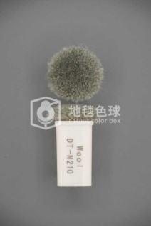 DT N210