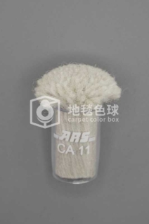 ARS CA11