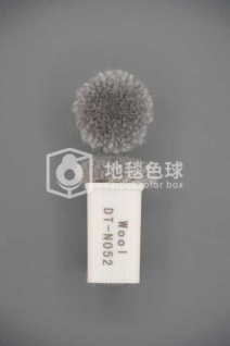 DT N052