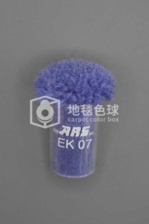 ARS EK07
