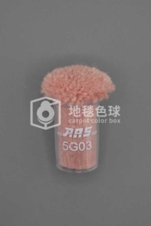 ARS 5G03