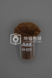 ARS 4H09