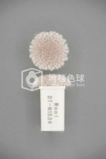 DT N1534