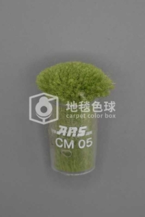 ARS CM05