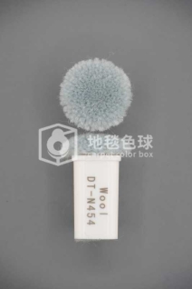 DT N454