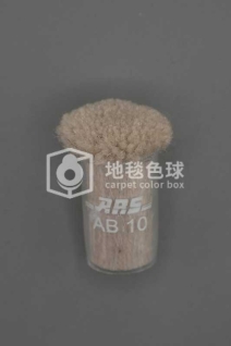ARS AB10