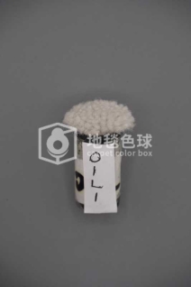 01L1