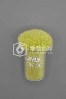 ARS CK06