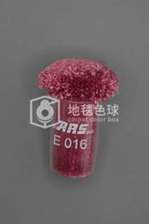 ARS E016