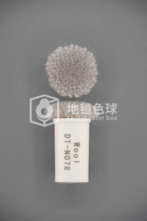DT N078