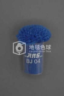 ARS BJ04