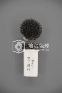 DT N112
