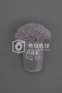 ARS BQ08