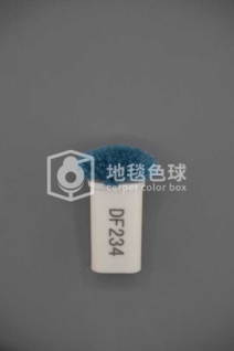 DF234